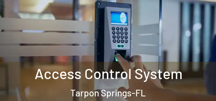  Access Control System Tarpon Springs-FL
