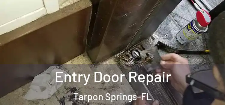 Entry Door Repair Tarpon Springs-FL