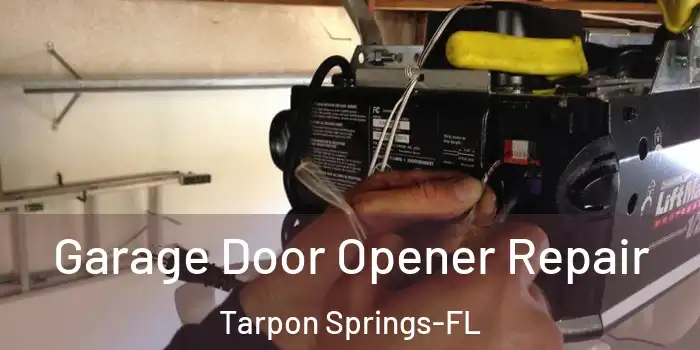 Garage Door Opener Repair Tarpon Springs-FL