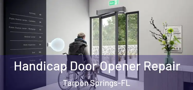 Handicap Door Opener Repair Tarpon Springs-FL