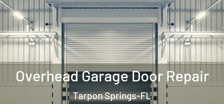 Overhead Garage Door Repair Tarpon Springs-FL