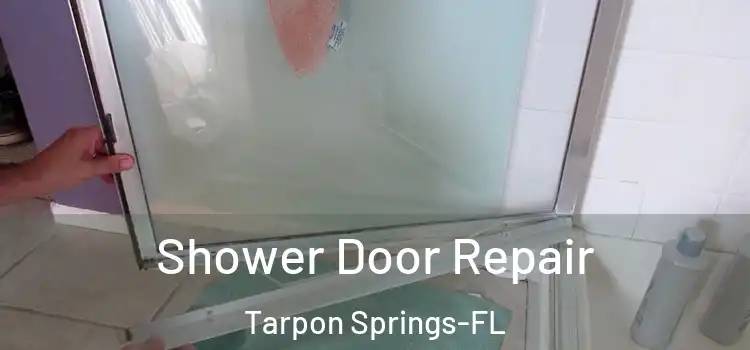 Shower Door Repair Tarpon Springs-FL
