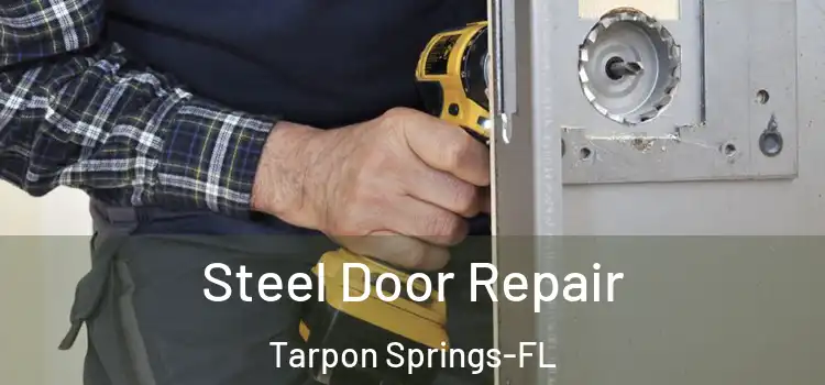  Steel Door Repair Tarpon Springs-FL